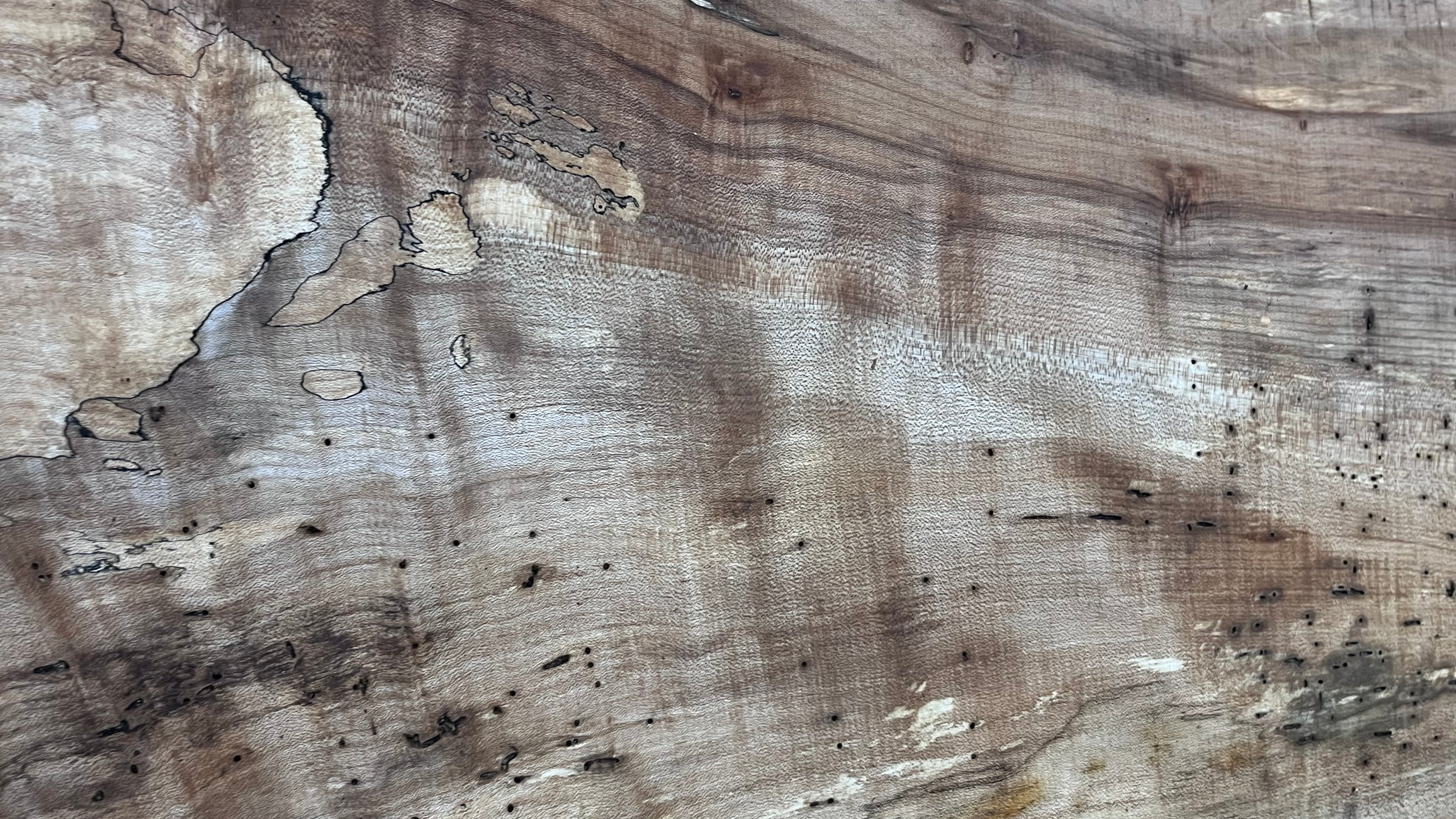 Hardwood plank, shelf, craft, sycamore, wood 952 L x 450 W x 49 D mm  (580)