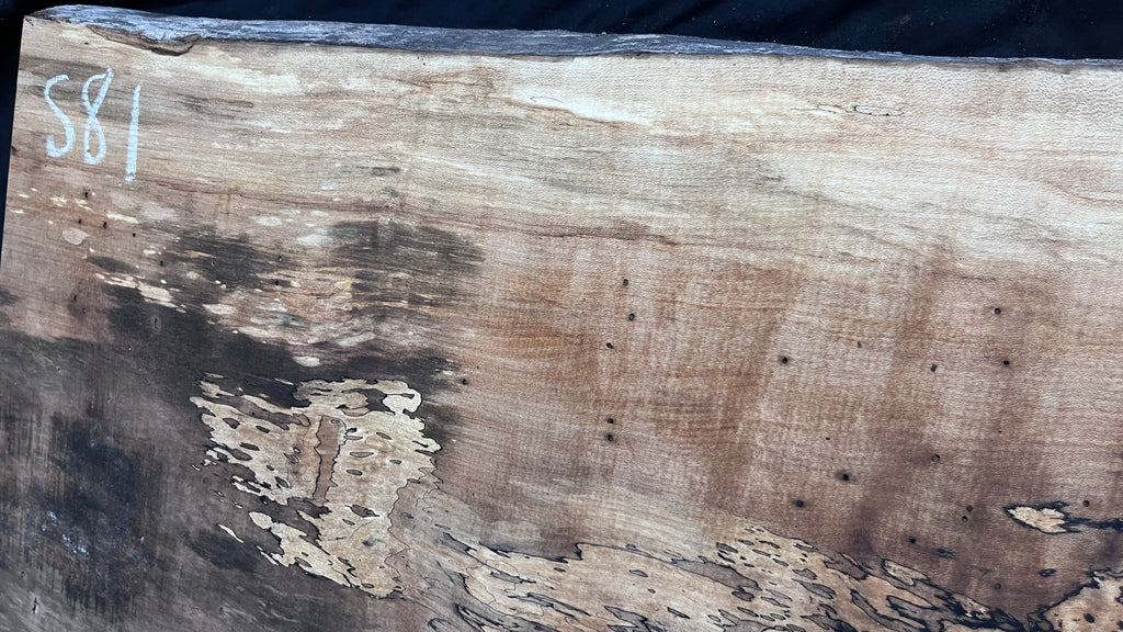 Hardwood plank, shelf, craft, spalted sycamore, wood 606 L x 411 W x 44 D mm  (581)