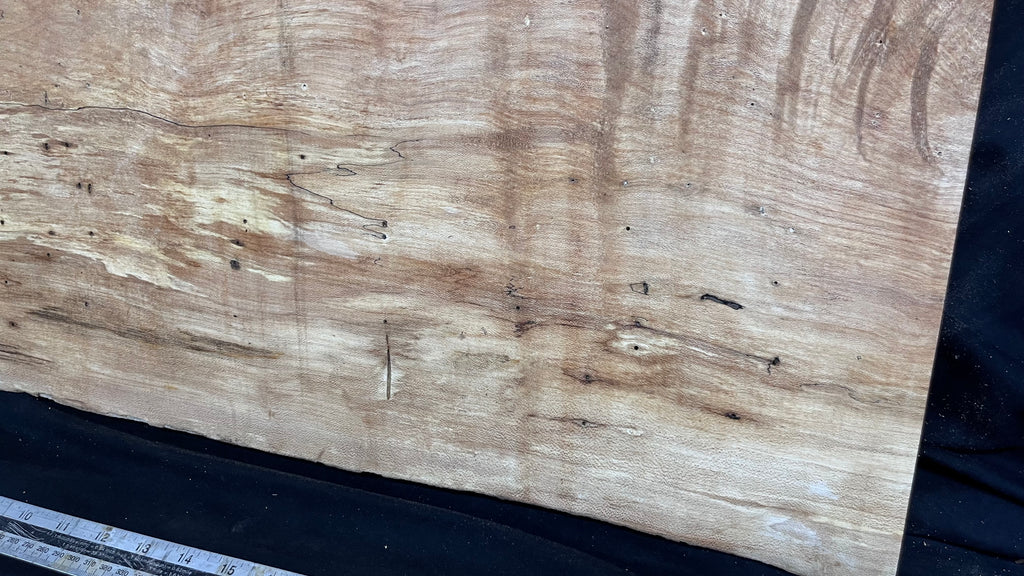 Hardwood plank, shelf, craft, spalted sycamore, wood 606 L x 411 W x 44 D mm  (581)