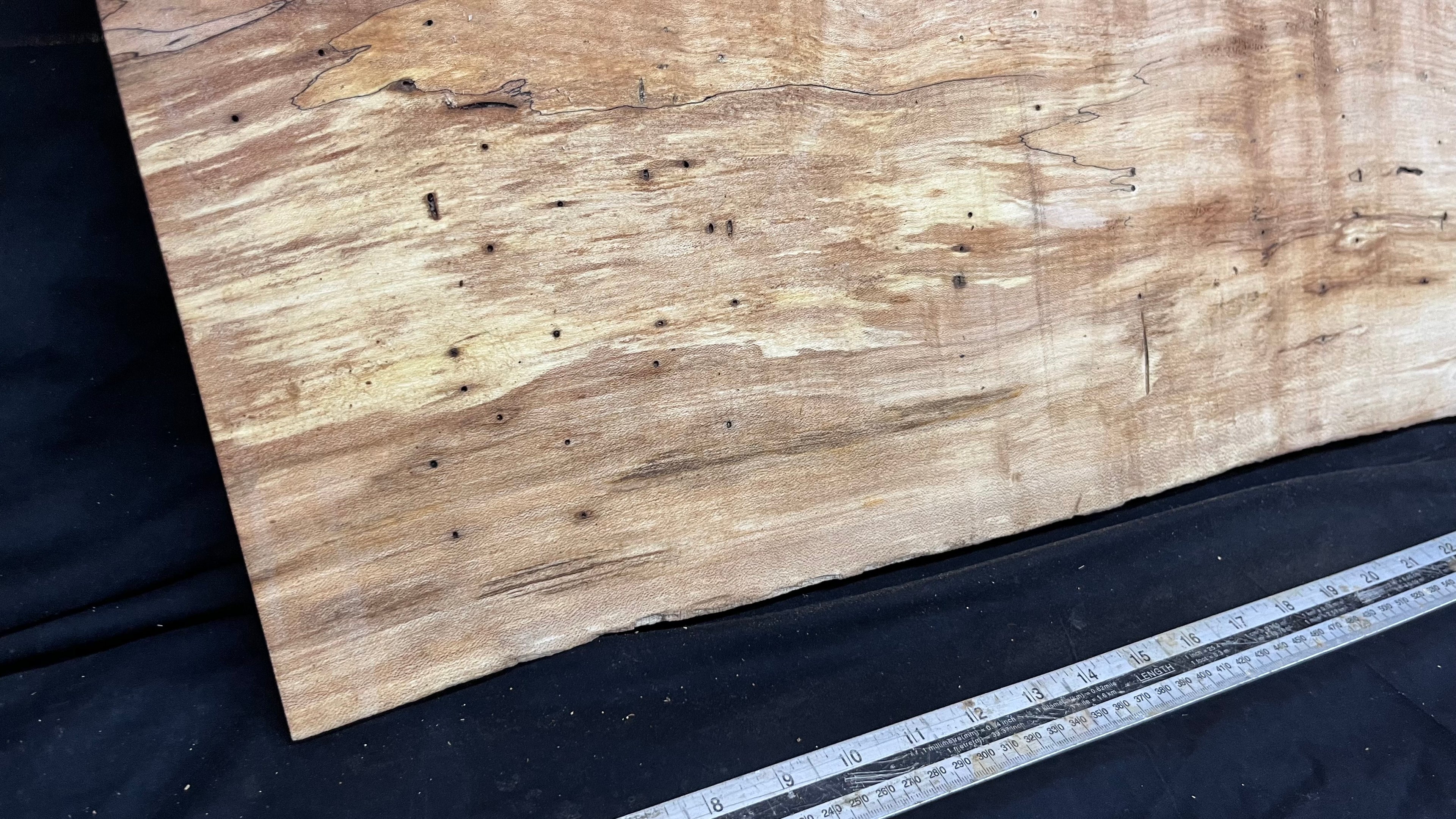 Hardwood plank, shelf, craft, spalted sycamore, wood 606 L x 411 W x 44 D mm  (581)