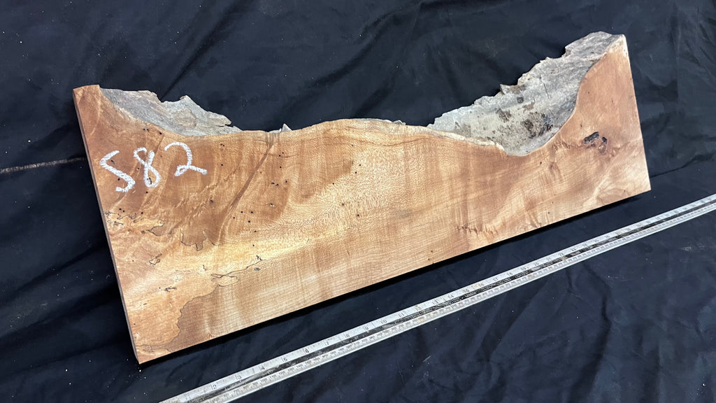 Hardwood plank, shelf, craft, spalted sycamore, wood 824 L x 280 W x 49 D mm  (582)