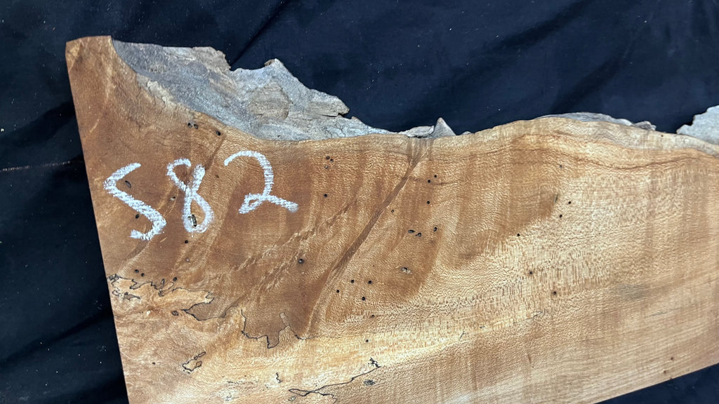 Hardwood plank, shelf, craft, spalted sycamore, wood 824 L x 280 W x 49 D mm  (582)