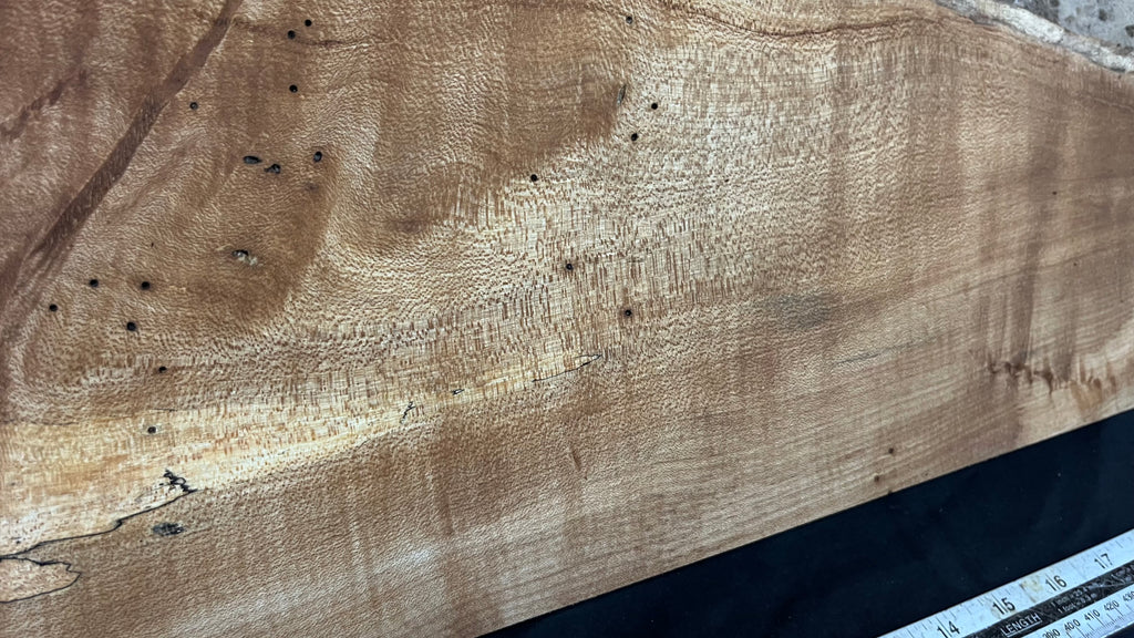 Hardwood plank, shelf, craft, spalted sycamore, wood 824 L x 280 W x 49 D mm  (582)