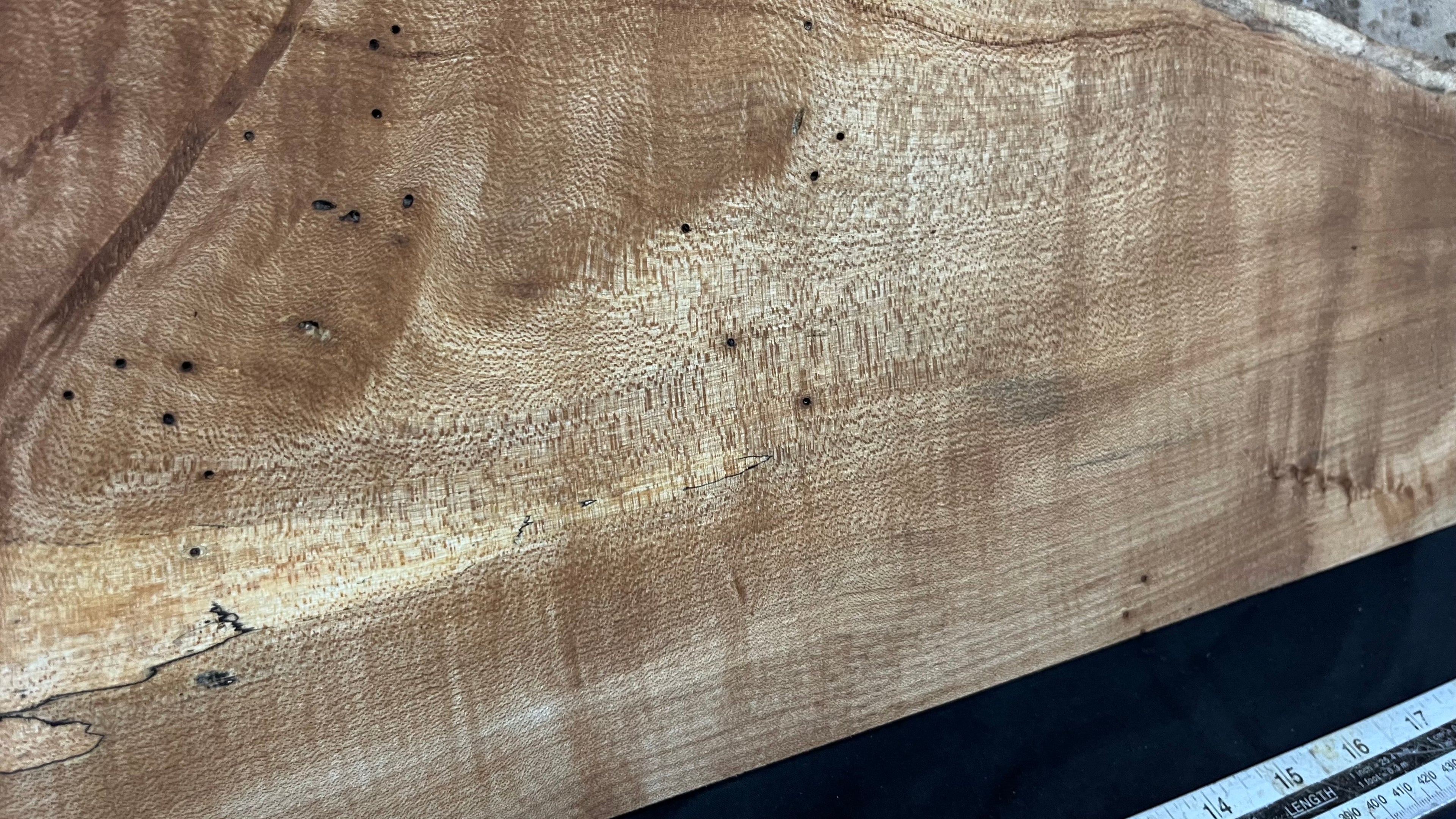 Hardwood plank, shelf, craft, spalted sycamore, wood 824 L x 280 W x 49 D mm  (582)