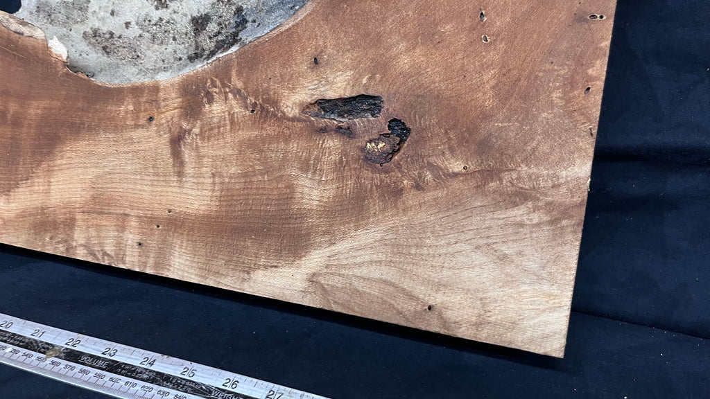 Hardwood plank, shelf, craft, spalted sycamore, wood 824 L x 280 W x 49 D mm  (582)