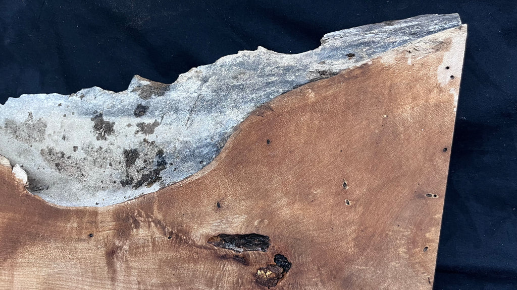 Hardwood plank, shelf, craft, spalted sycamore, wood 824 L x 280 W x 49 D mm  (582)