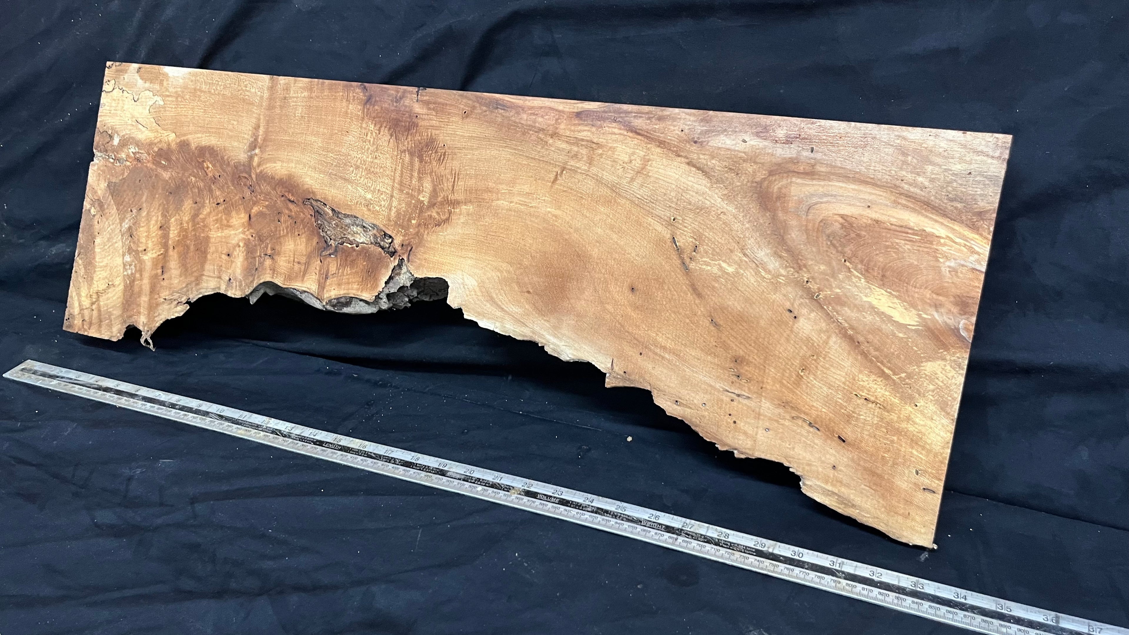 Hardwood plank, shelf, craft, spalted sycamore, wood 824 L x 280 W x 49 D mm  (582)