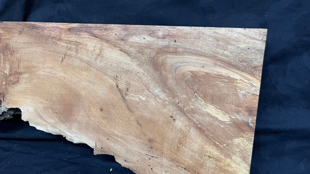 Hardwood plank, shelf, craft, spalted sycamore, wood 824 L x 280 W x 49 D mm  (582)