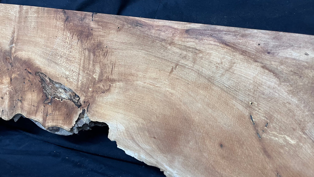 Hardwood plank, shelf, craft, spalted sycamore, wood 824 L x 280 W x 49 D mm  (582)