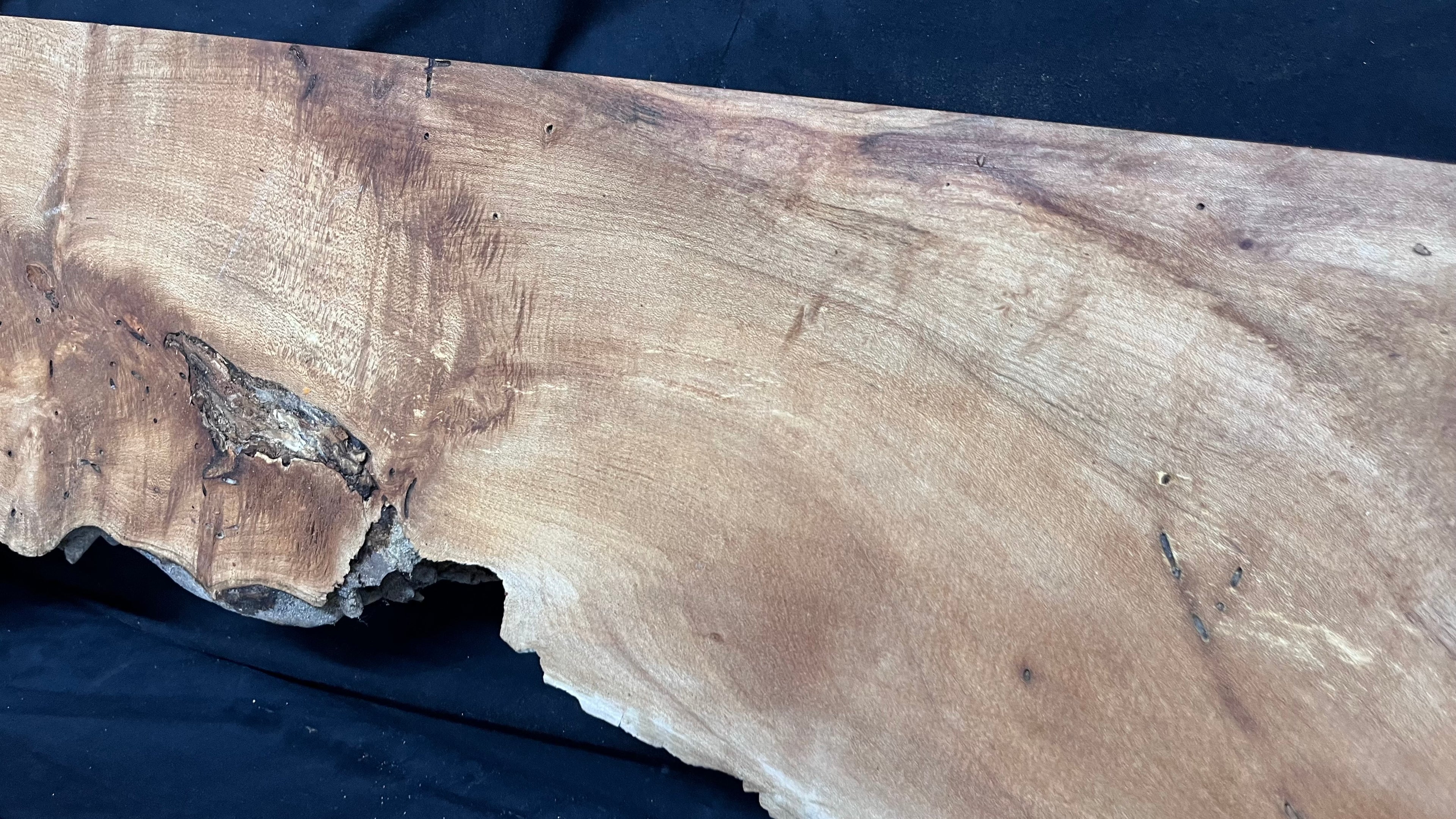 Hardwood plank, shelf, craft, spalted sycamore, wood 824 L x 280 W x 49 D mm  (582)