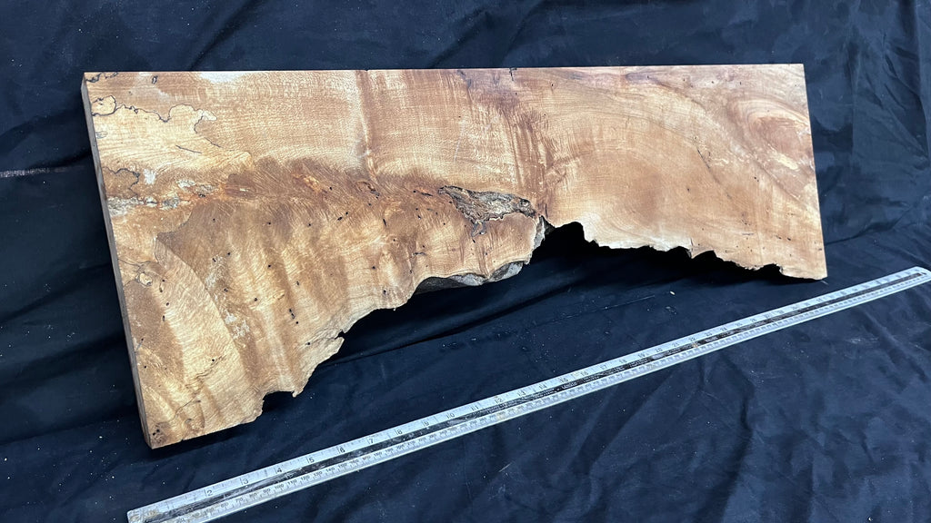 Hardwood plank, shelf, craft, spalted sycamore, wood 824 L x 280 W x 49 D mm  (582)