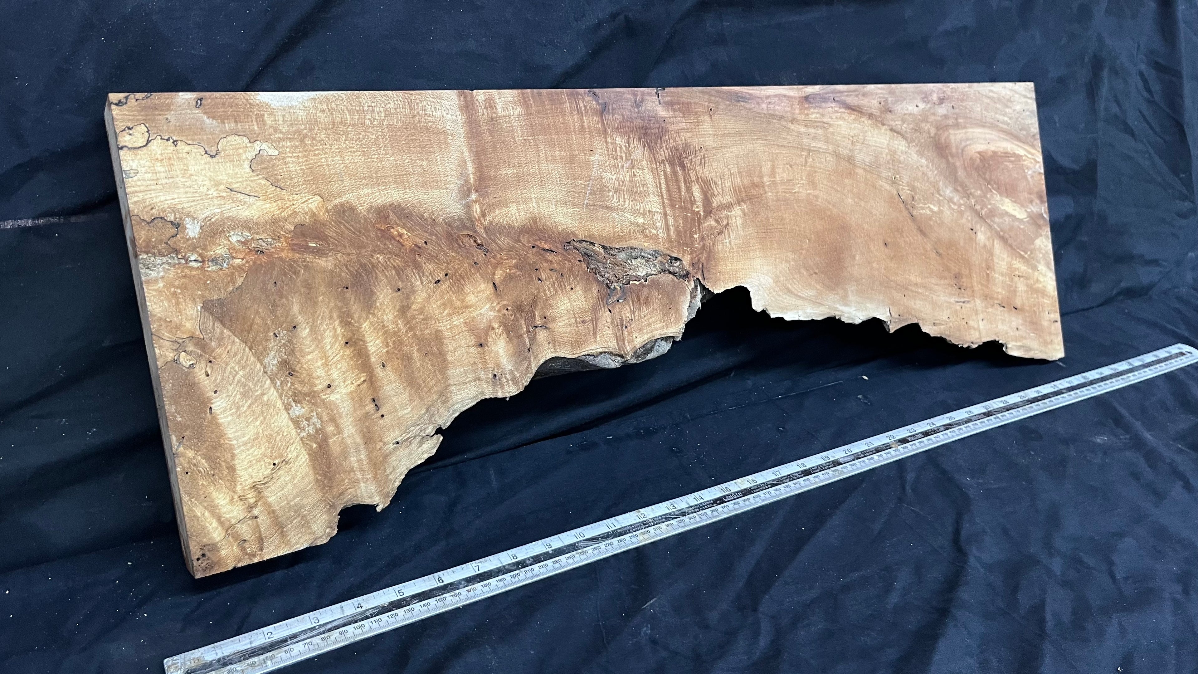 Hardwood plank, shelf, craft, spalted sycamore, wood 824 L x 280 W x 49 D mm  (582)