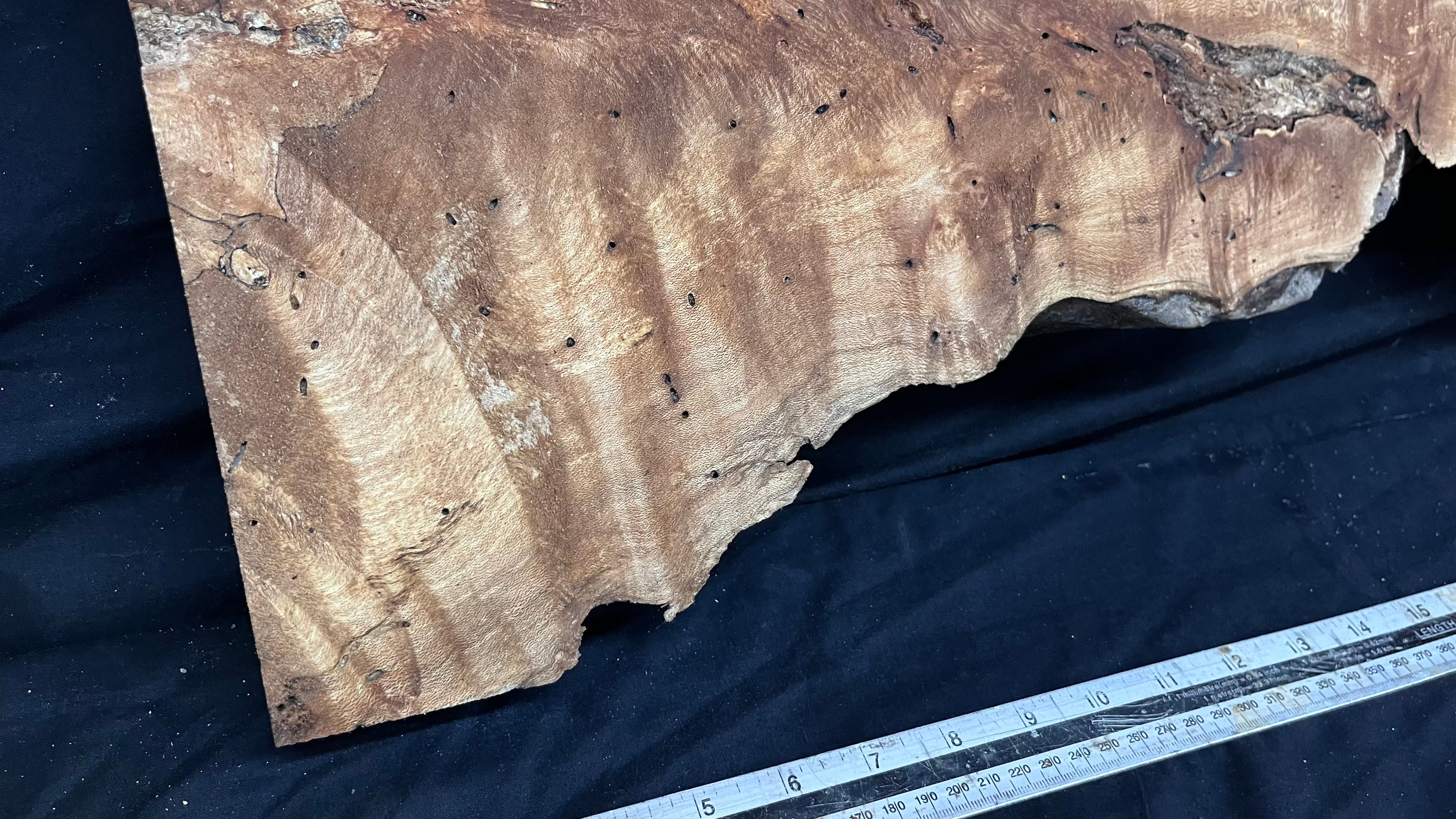 Hardwood plank, shelf, craft, spalted sycamore, wood 824 L x 280 W x 49 D mm  (582)