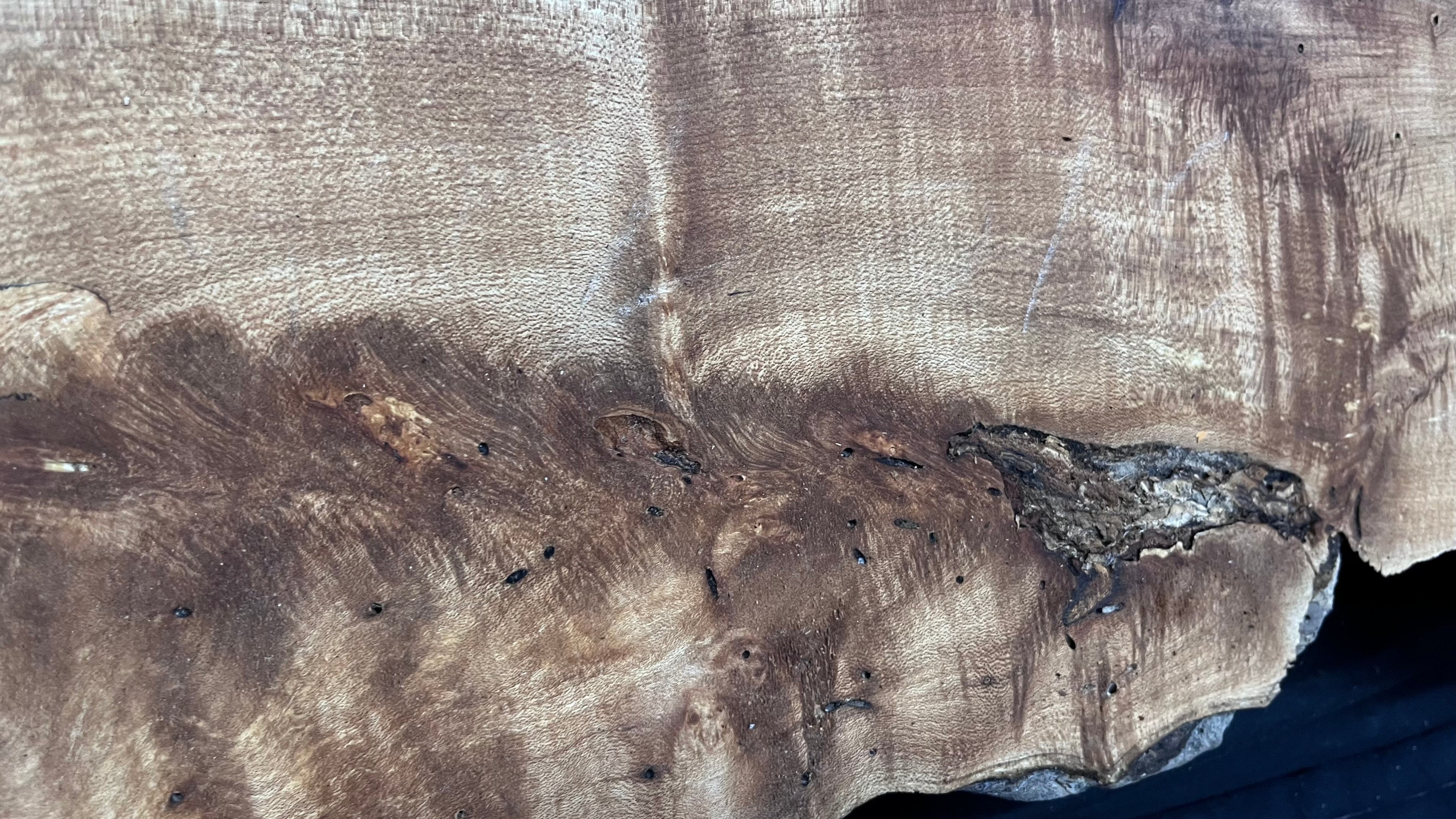 Hardwood plank, shelf, craft, spalted sycamore, wood 824 L x 280 W x 49 D mm  (582)