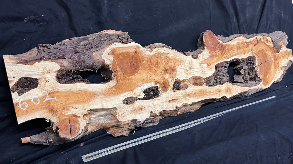 Pippy Yew resin coffee table top, slab, board, 1477 L x 388 W x  43 D mm    (602)