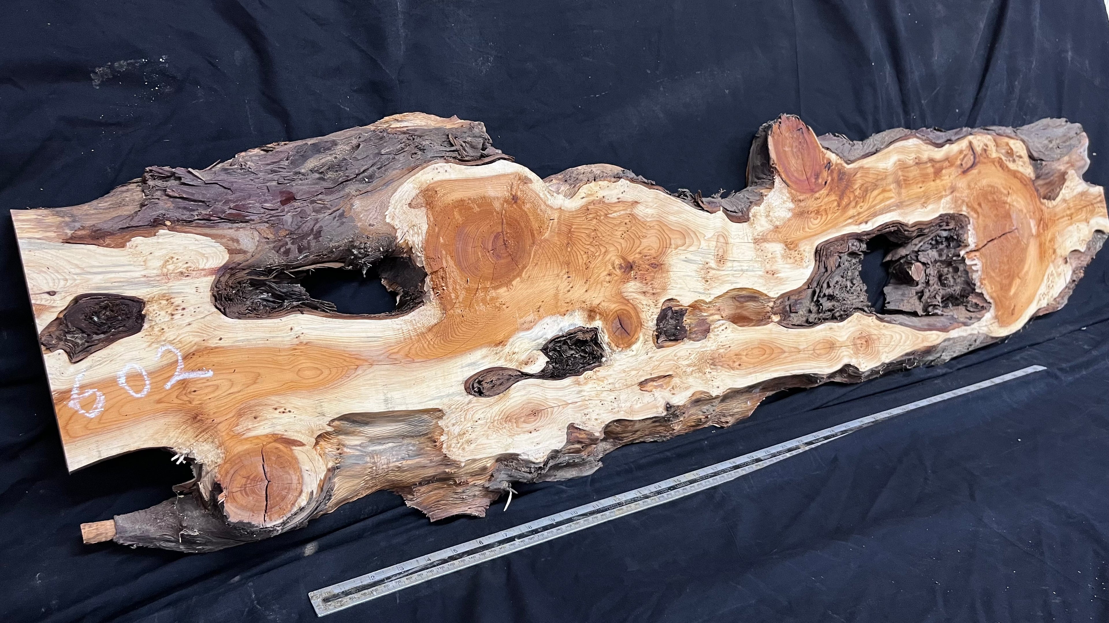 Pippy Yew resin coffee table top, slab, board, 1477 L x 388 W x  43 D mm    (602)