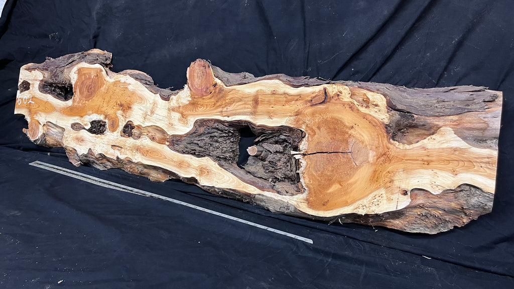 Pippy Yew resin coffee table top, slab, board, 1477 L x 388 W x  43 D mm    (602)