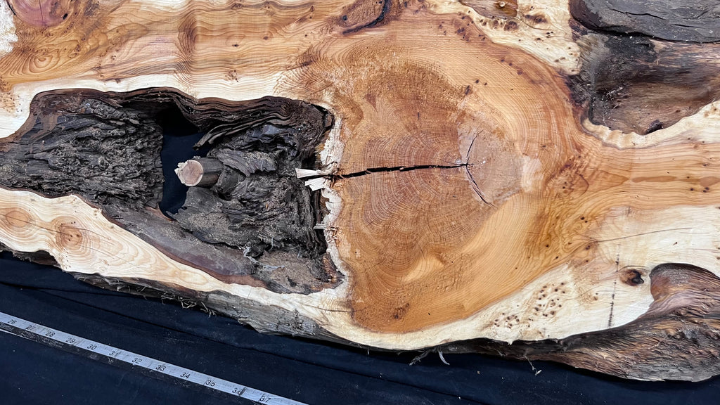 Pippy Yew resin coffee table top, slab, board, 1477 L x 388 W x  43 D mm    (602)