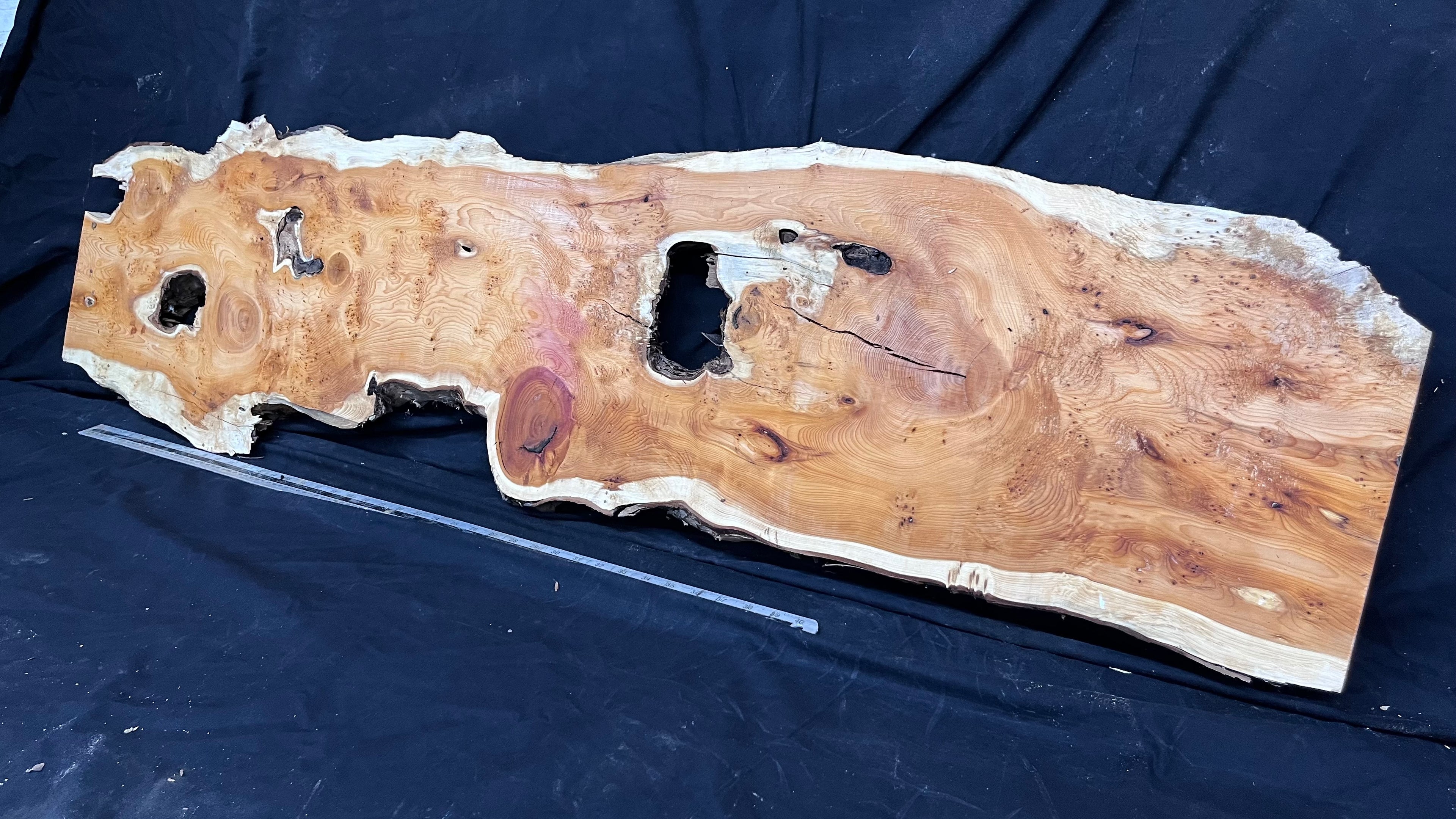 Pippy Yew resin coffee table top, slab, board, 1477 L x 388 W x  43 D mm    (602)