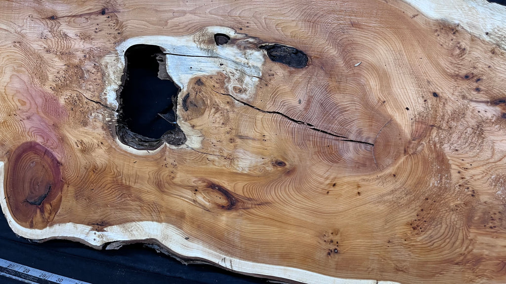 Pippy Yew resin coffee table top, slab, board, 1477 L x 388 W x  43 D mm    (602)