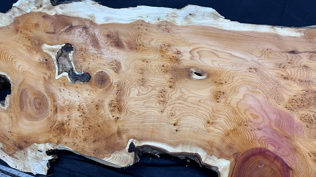 Pippy Yew resin coffee table top, slab, board, 1477 L x 388 W x  43 D mm    (602)