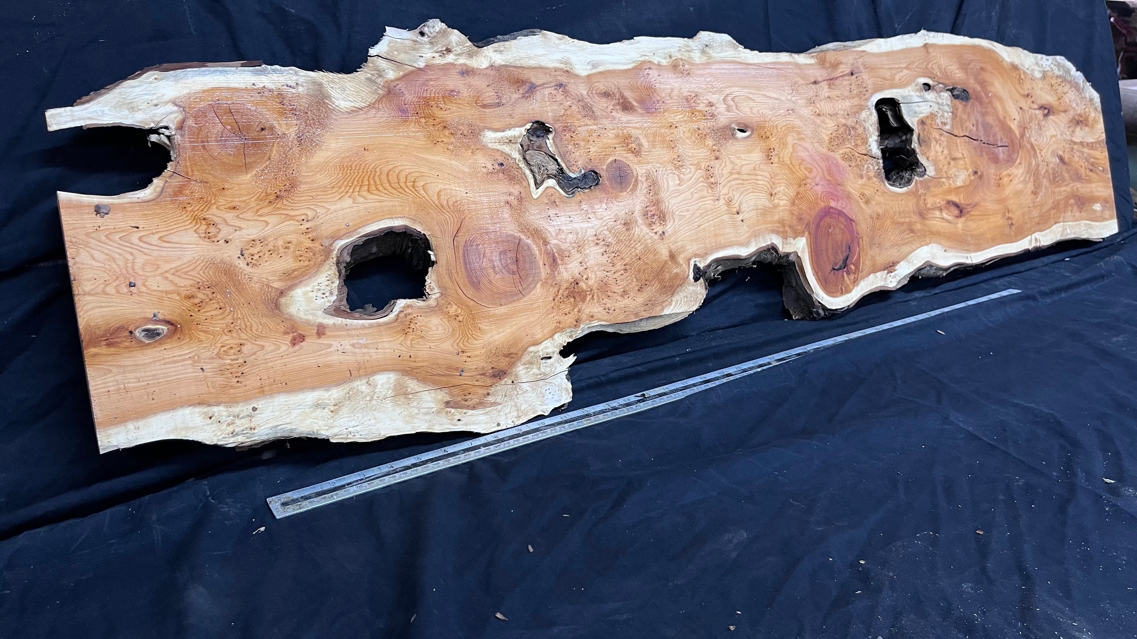 Pippy Yew resin coffee table top, slab, board, 1477 L x 388 W x  43 D mm    (602)