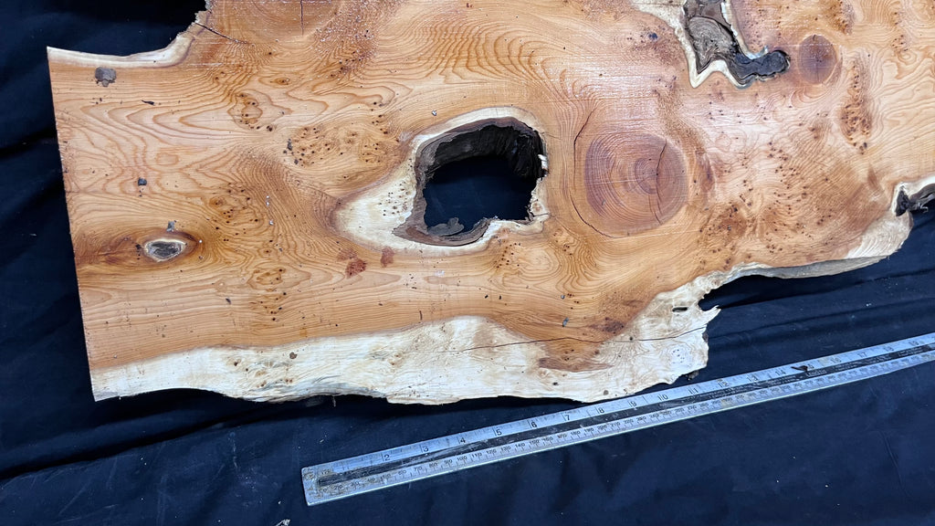 Pippy Yew resin coffee table top, slab, board, 1477 L x 388 W x  43 D mm    (602)