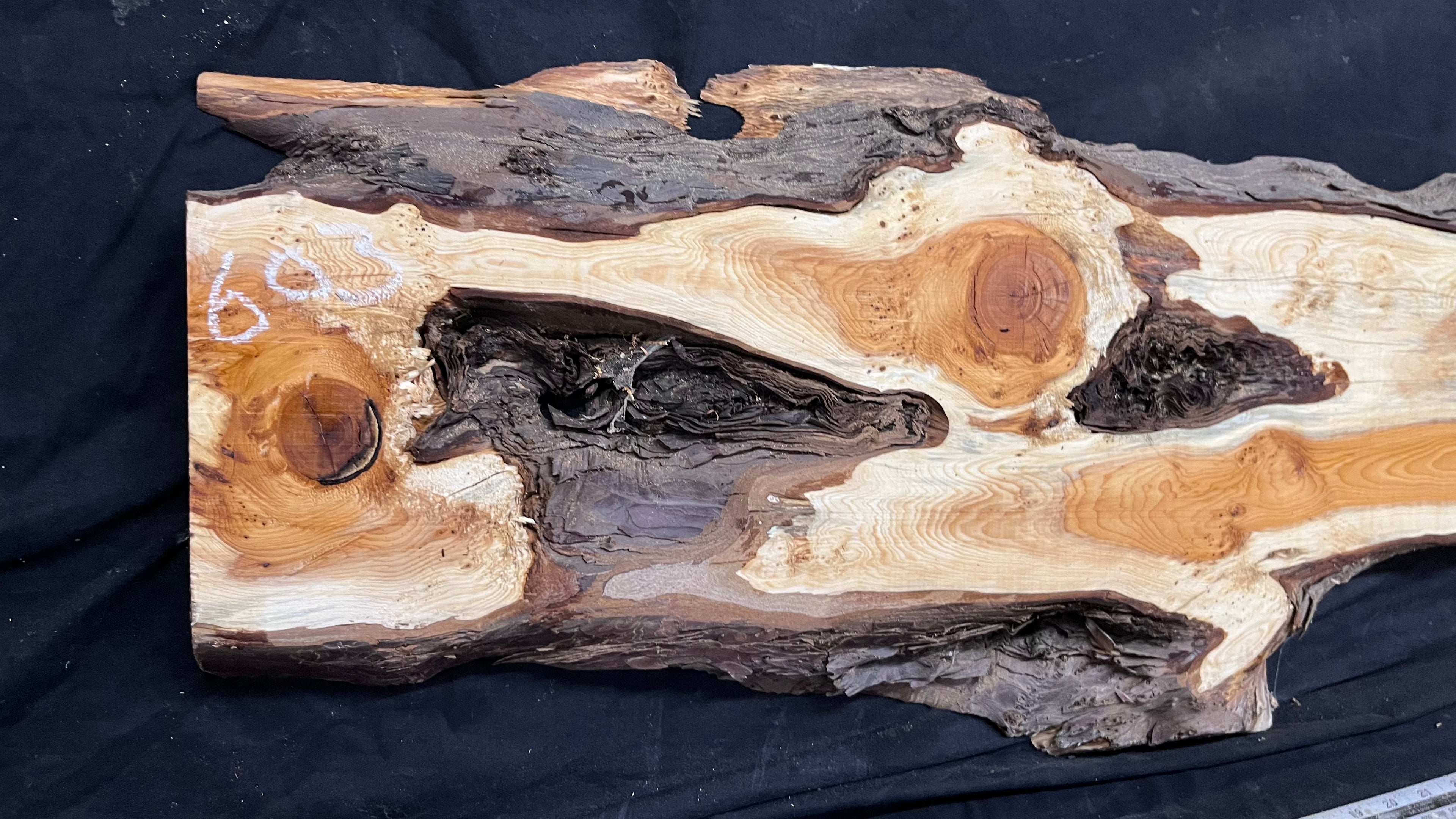 Pippy Yew coffee table top, hardwood, slab, board, 1257 L x 345 W x 43 D mm    (603)