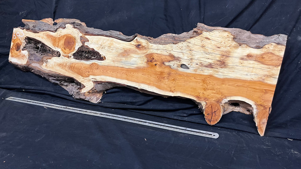 Pippy Yew coffee table top, hardwood, slab, board, 1257 L x 345 W x 43 D mm    (603)