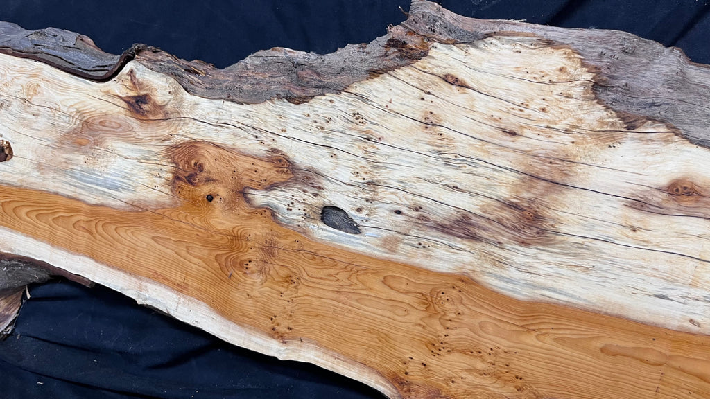 Pippy Yew coffee table top, hardwood, slab, board, 1257 L x 345 W x 43 D mm    (603)
