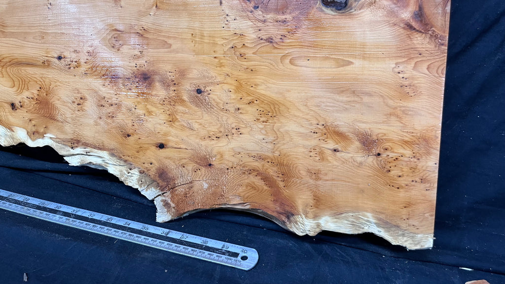 Pippy Yew coffee table top, hardwood, slab, board, 1257 L x 345 W x 43 D mm    (603)