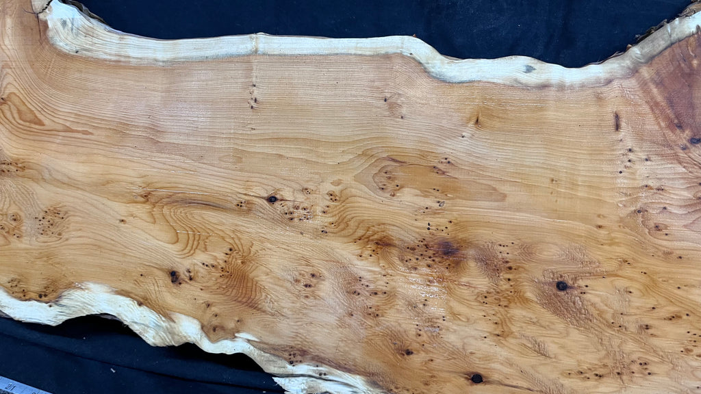 Pippy Yew coffee table top, hardwood, slab, board, 1257 L x 345 W x 43 D mm    (603)