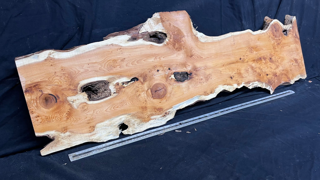 Pippy Yew coffee table top, hardwood, slab, board, 1257 L x 345 W x 43 D mm    (603)