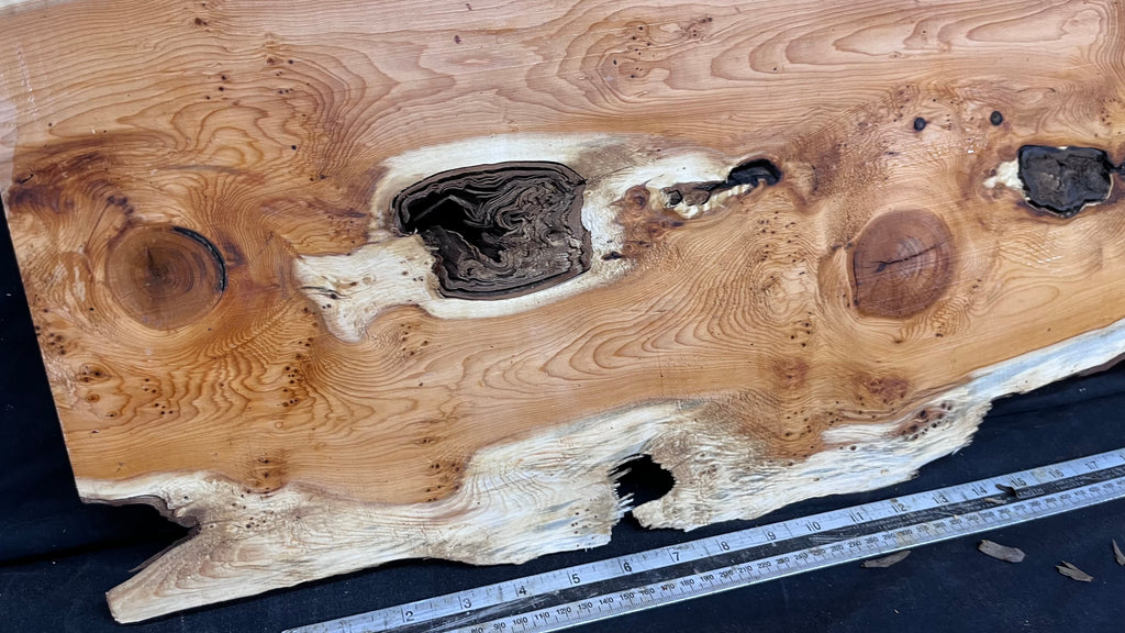 Pippy Yew coffee table top, hardwood, slab, board, 1257 L x 345 W x 43 D mm    (603)