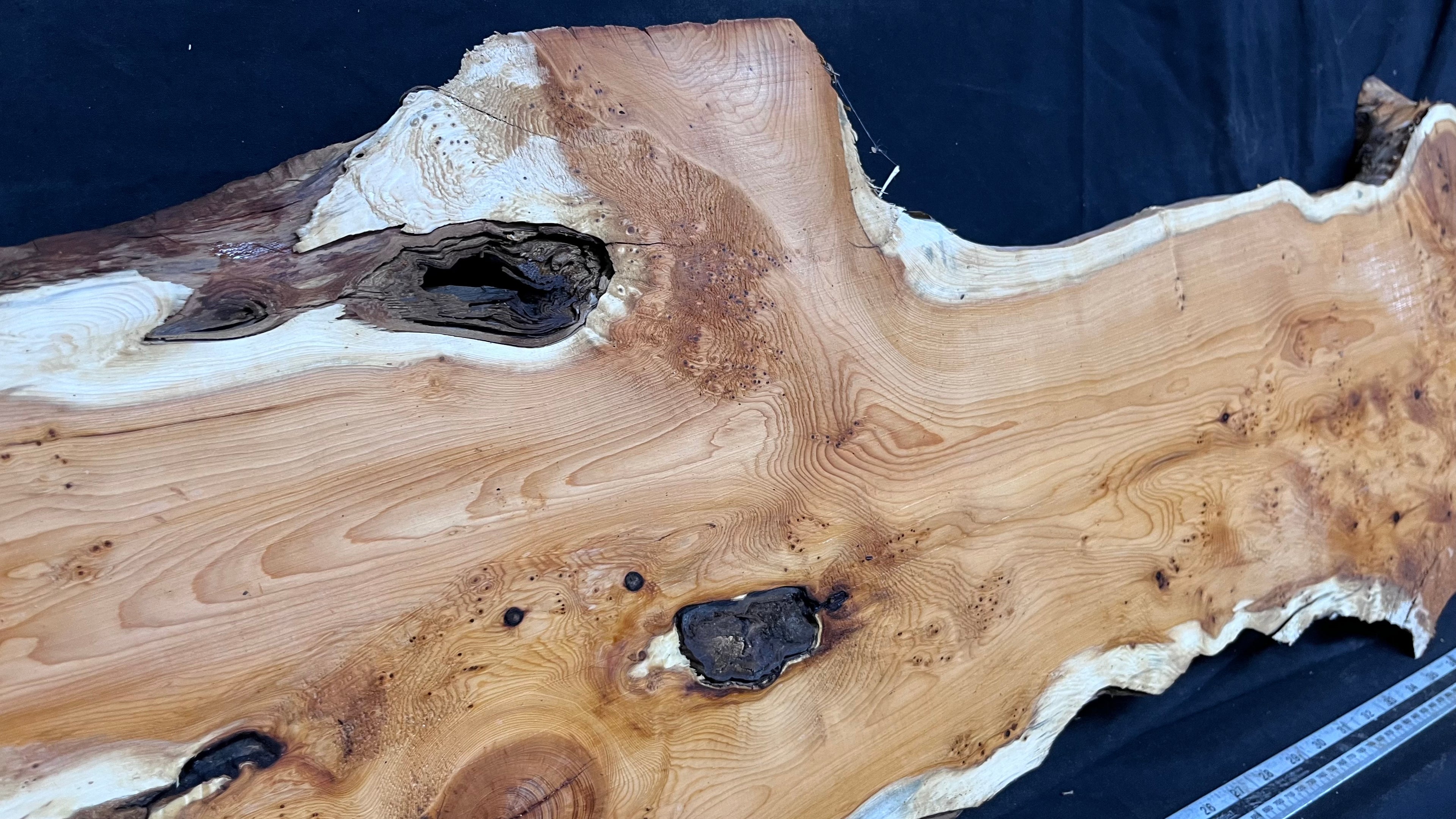 Pippy Yew coffee table top, hardwood, slab, board, 1257 L x 345 W x 43 D mm    (603)