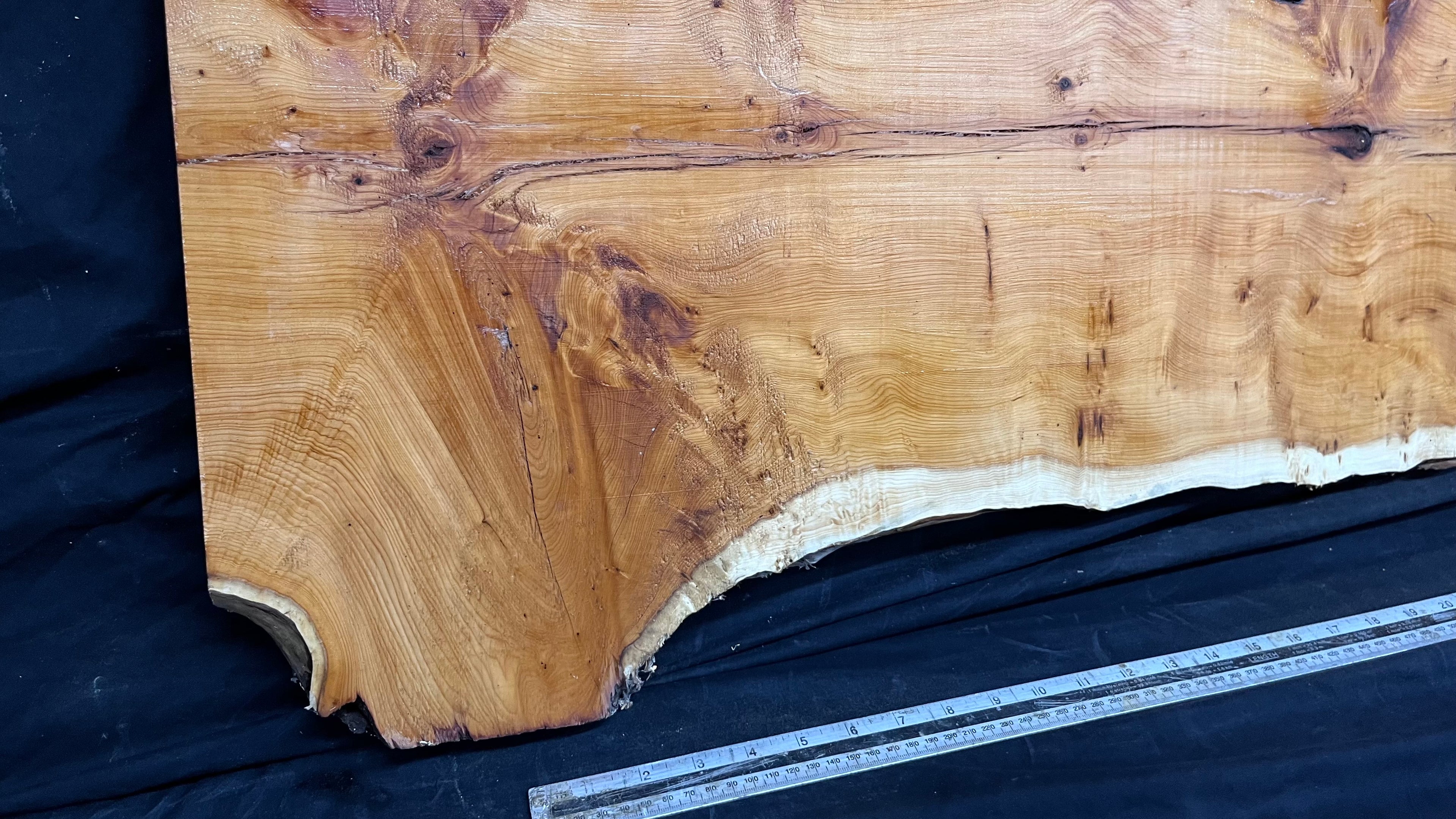 Pippy Yew coffee table top, hardwood, slab, board, 1260 L x 465 W x 42 D mm    (604)