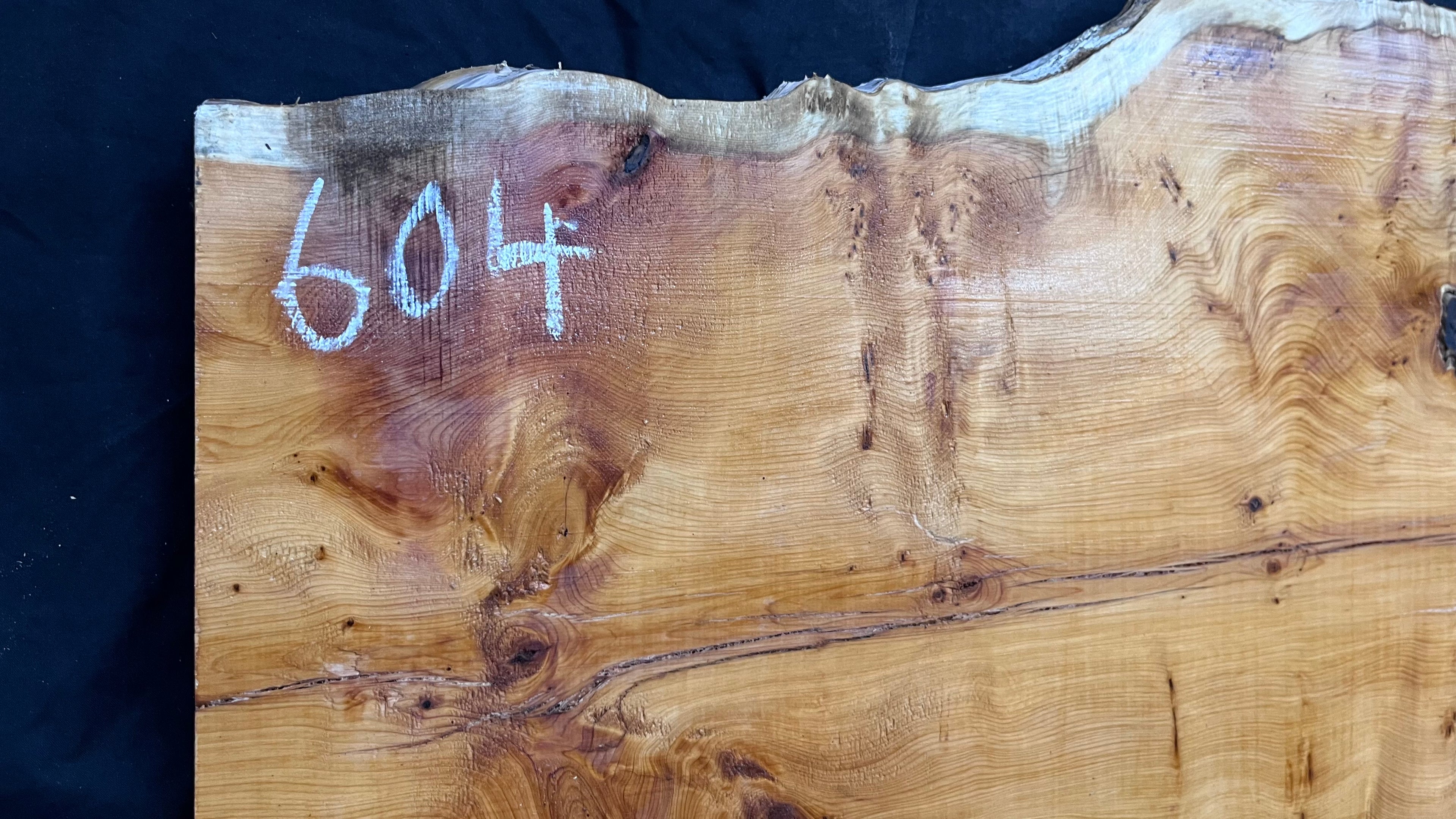 Pippy Yew coffee table top, hardwood, slab, board, 1260 L x 465 W x 42 D mm    (604)