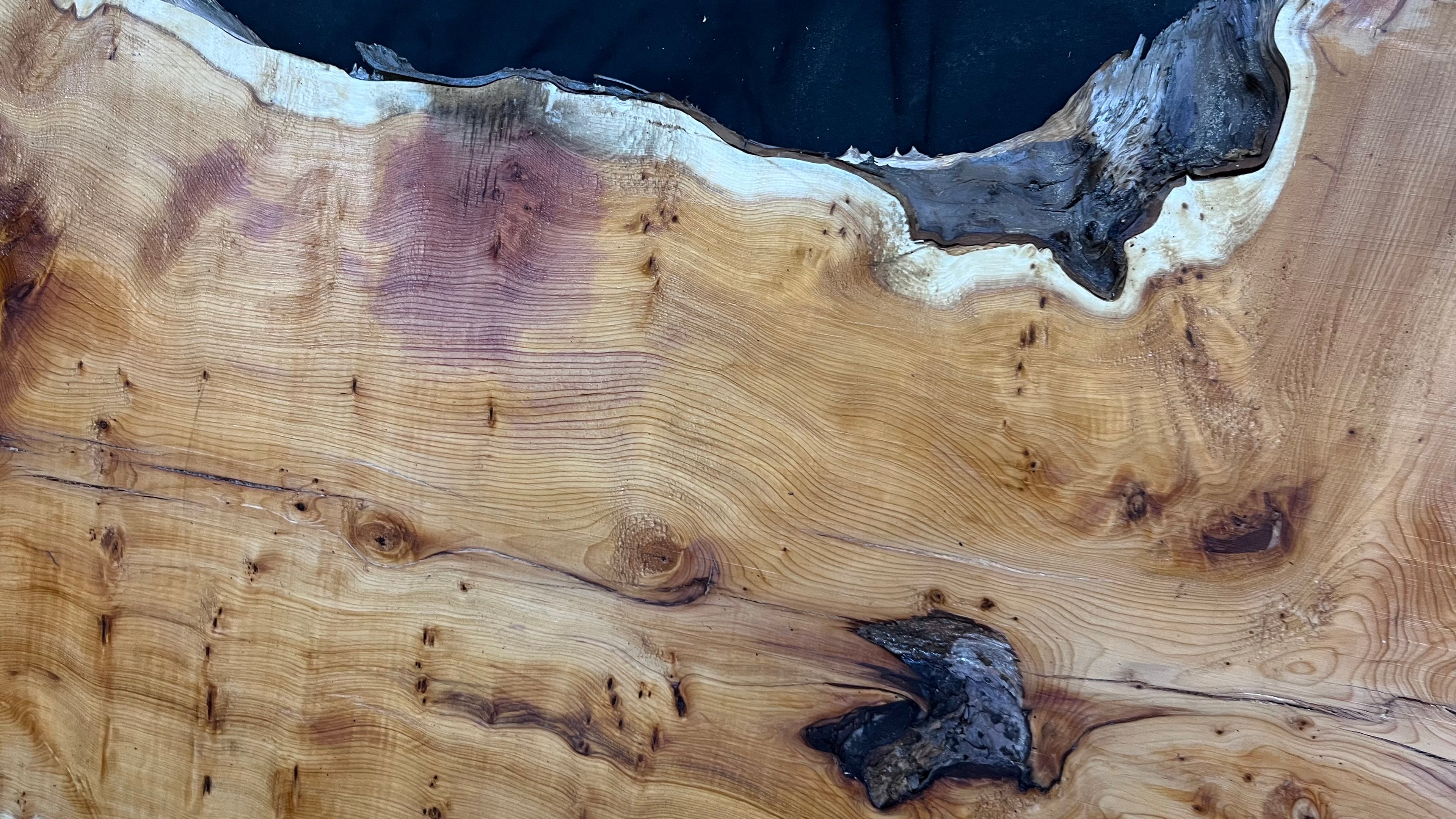 Pippy Yew coffee table top, hardwood, slab, board, 1260 L x 465 W x 42 D mm    (604)