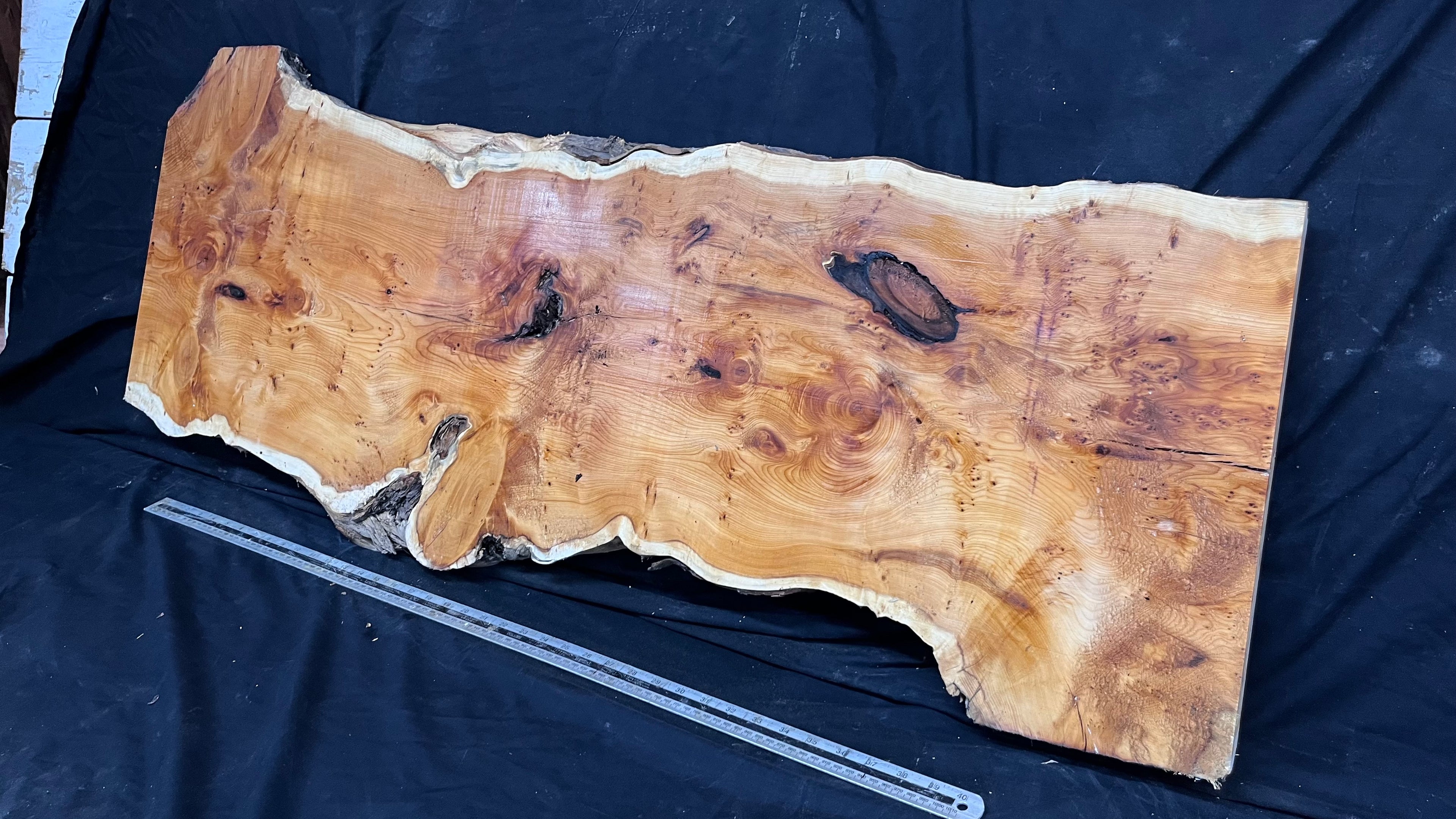 Pippy Yew coffee table top, hardwood, slab, board, 1260 L x 465 W x 42 D mm    (604)