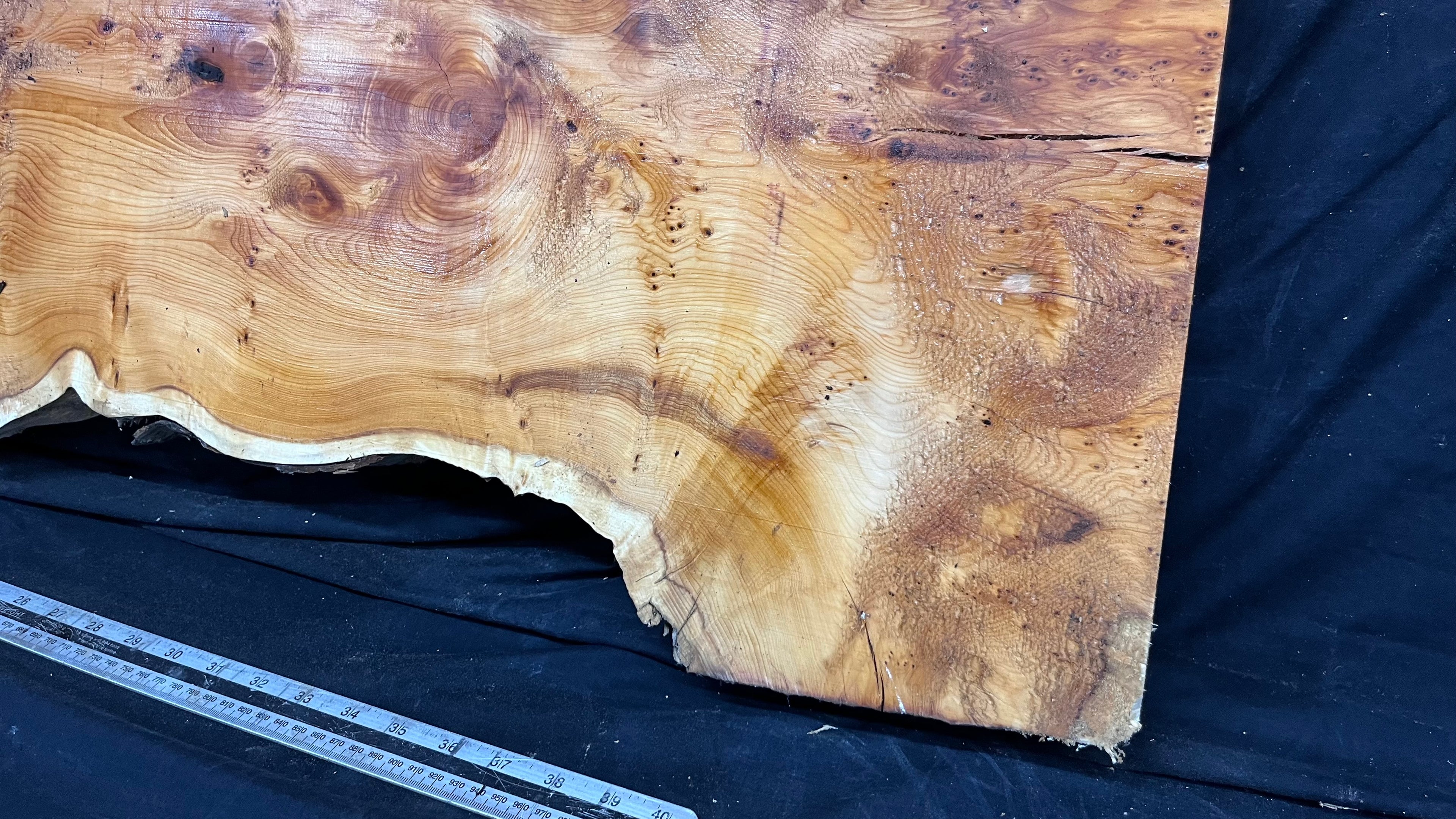Pippy Yew coffee table top, hardwood, slab, board, 1260 L x 465 W x 42 D mm    (604)