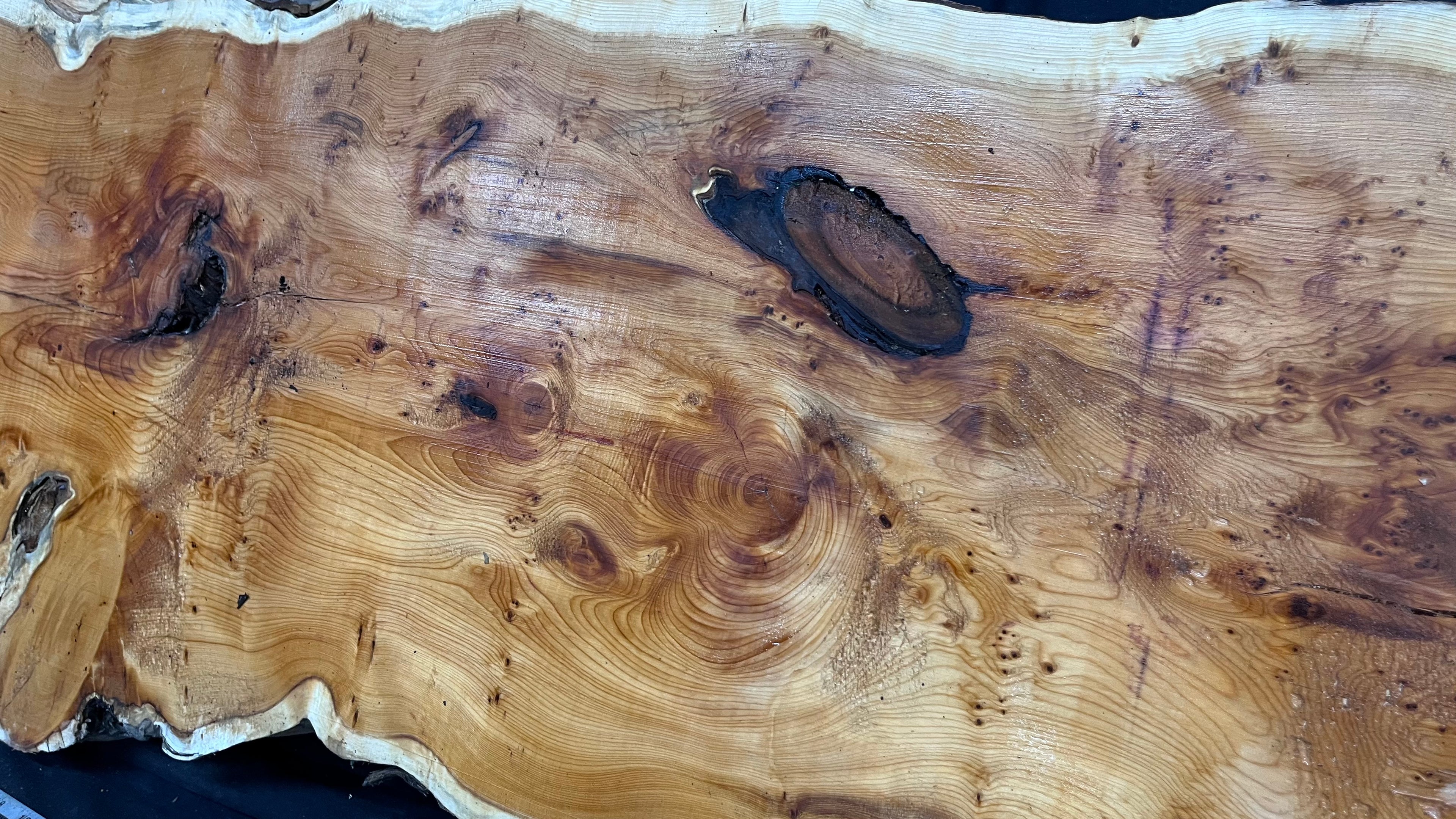 Pippy Yew coffee table top, hardwood, slab, board, 1260 L x 465 W x 42 D mm    (604)