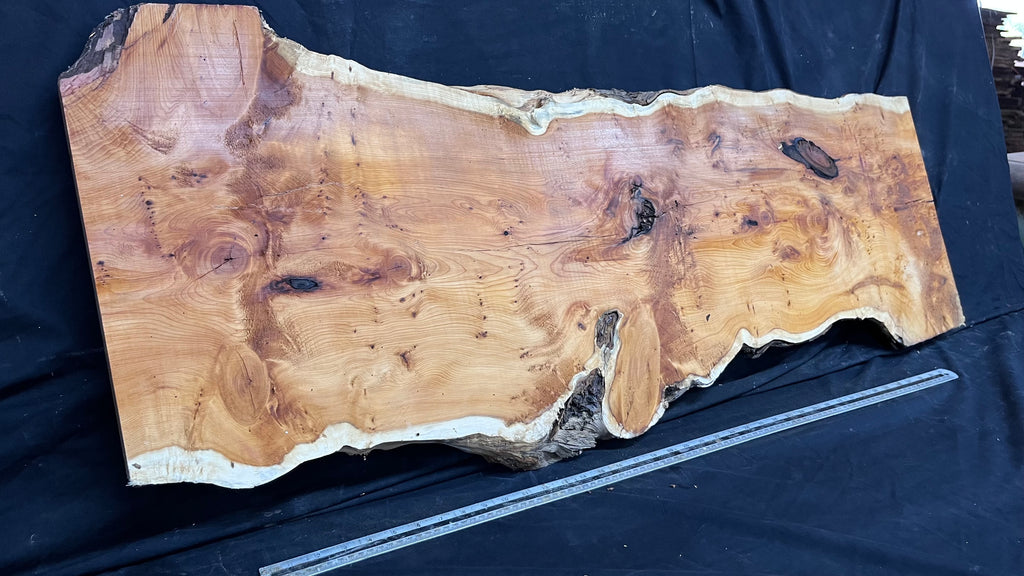 Pippy Yew coffee table top, hardwood, slab, board, 1260 L x 465 W x 42 D mm    (604)