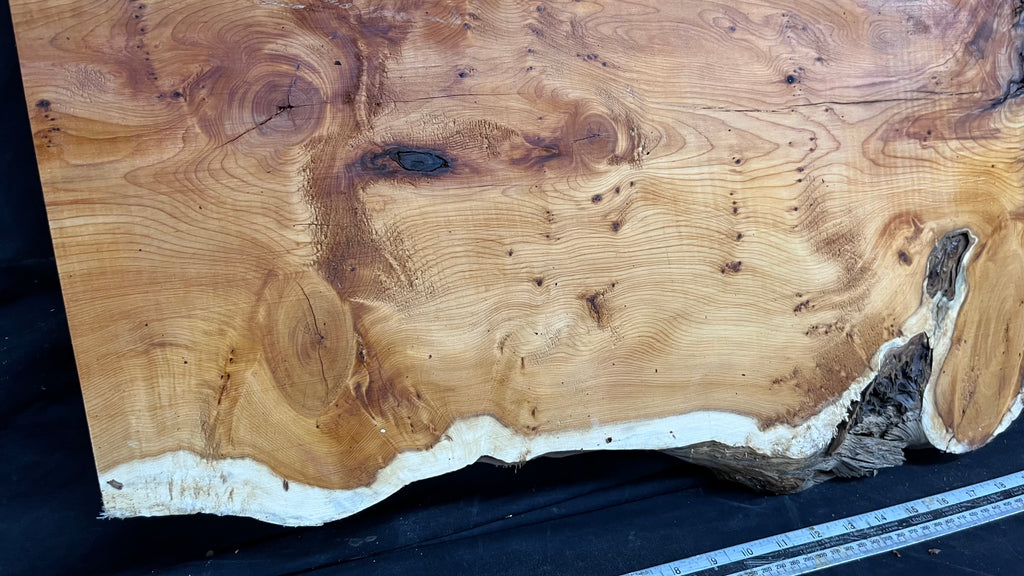 Pippy Yew coffee table top, hardwood, slab, board, 1260 L x 465 W x 42 D mm    (604)
