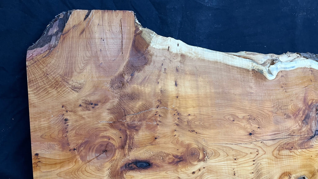 Pippy Yew coffee table top, hardwood, slab, board, 1260 L x 465 W x 42 D mm    (604)