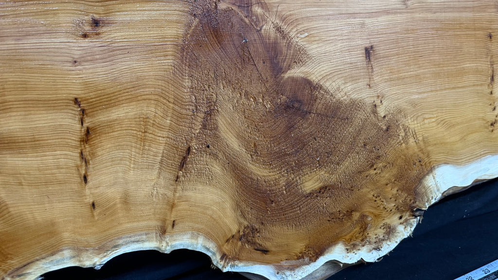 Pippy Yew coffee table top, hardwood, slab, board, 1013 L x 485 W x 42 D mm    (605)
