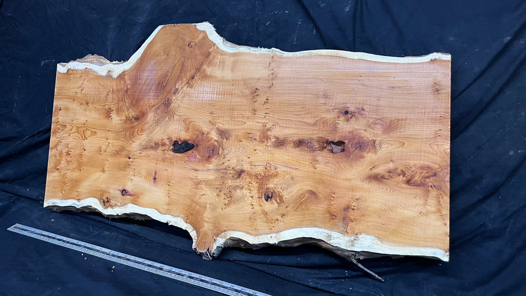 Pippy Yew coffee table top, hardwood, slab, board, 1013 L x 485 W x 42 D mm    (605)