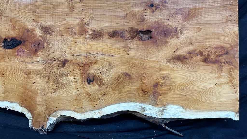 Pippy Yew coffee table top, hardwood, slab, board, 1013 L x 485 W x 42 D mm    (605)