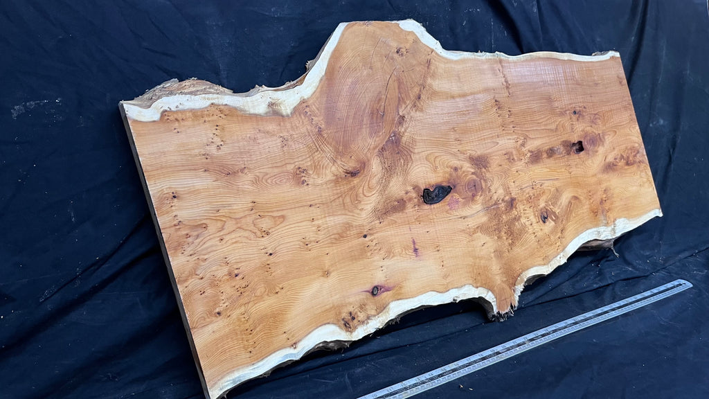 Pippy Yew coffee table top, hardwood, slab, board, 1013 L x 485 W x 42 D mm    (605)