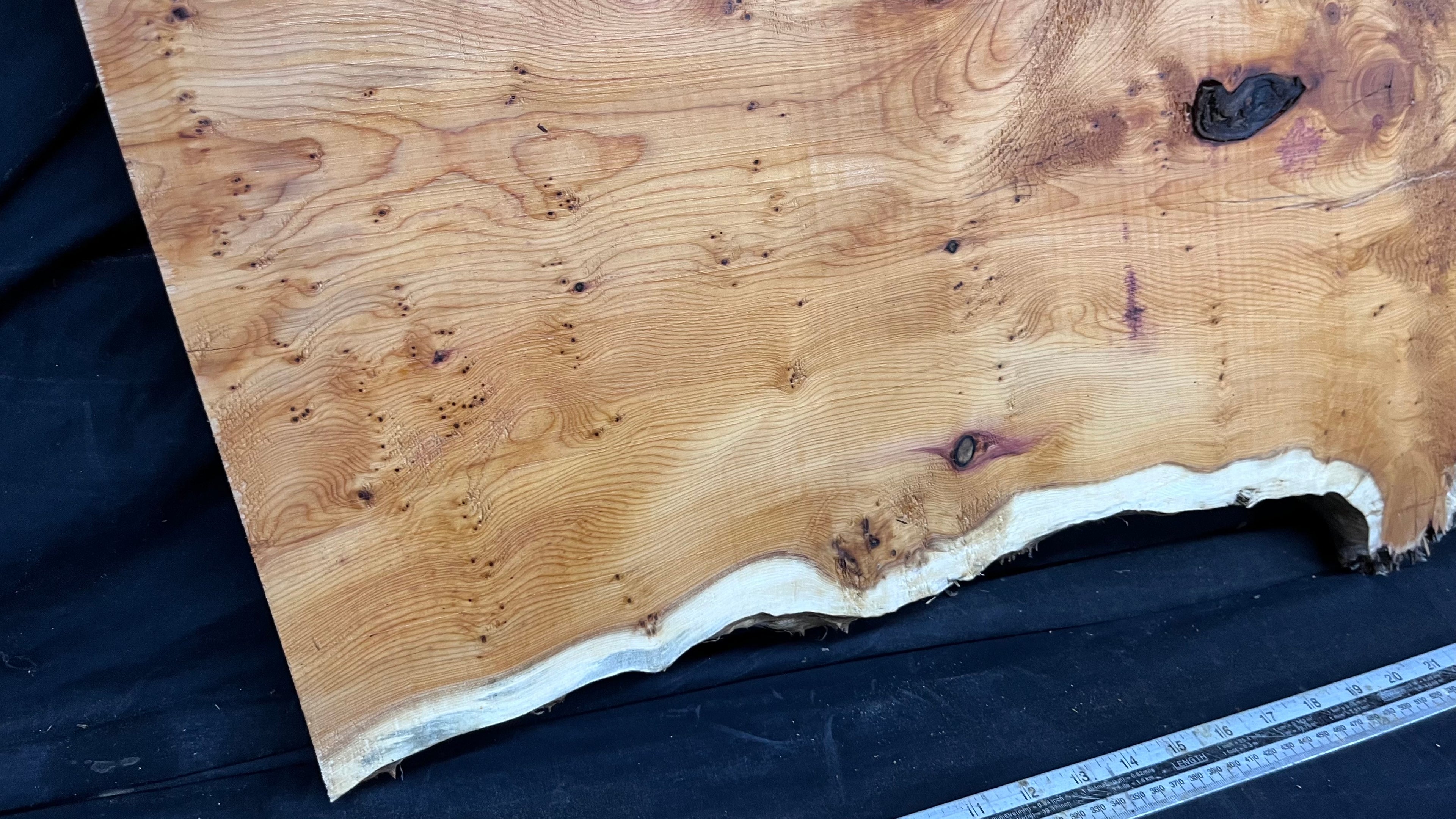 Pippy Yew coffee table top, hardwood, slab, board, 1013 L x 485 W x 42 D mm    (605)