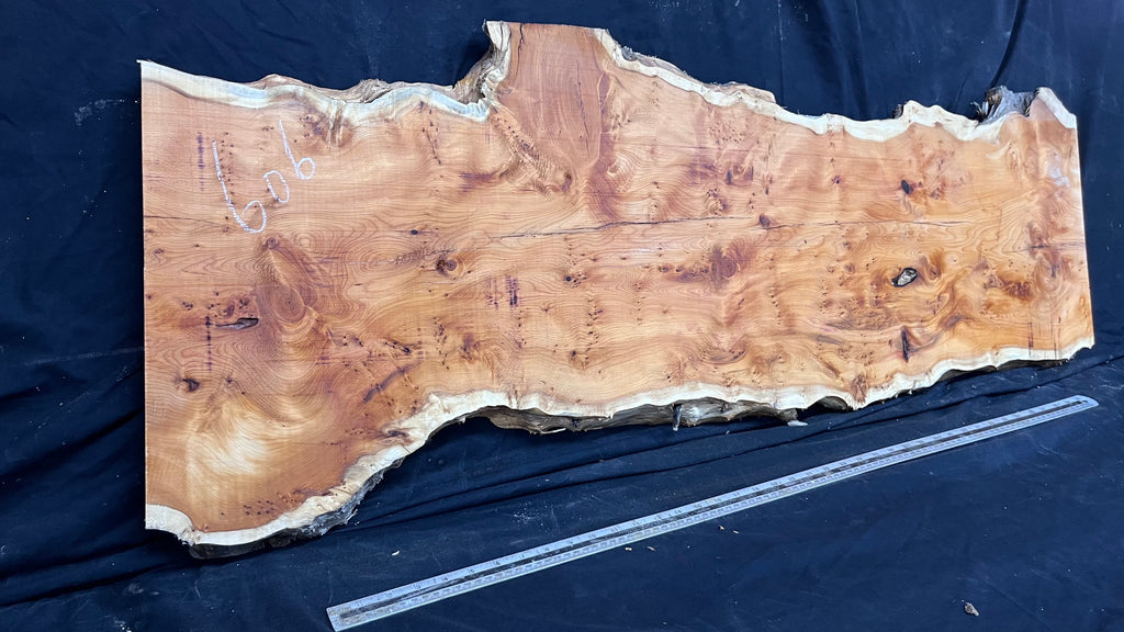 Pippy Yew coffee table top, hardwood, slab, board, 1270 L x 450 W x 42 D mm    (606)